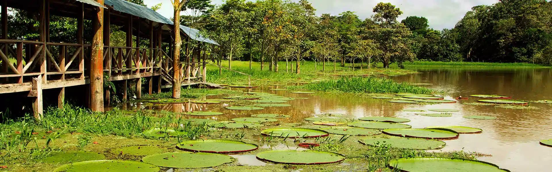 Amazonas Hoteles Decameron