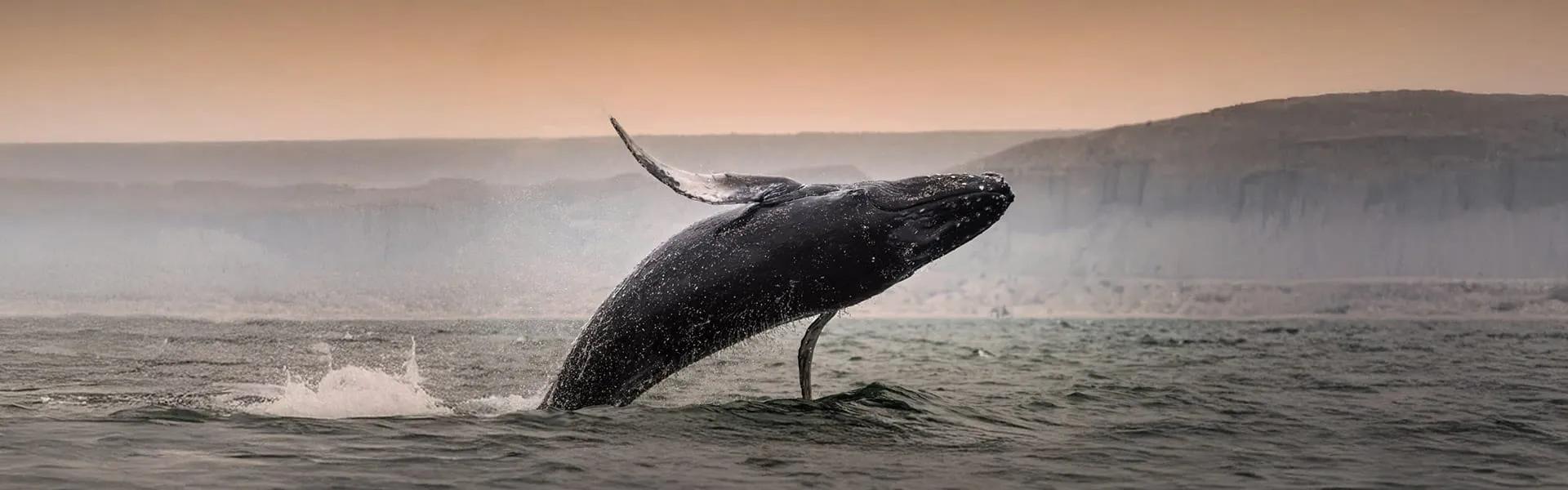 Descubre Ecuador y vive experiencias únicas entre naturaleza y cultura